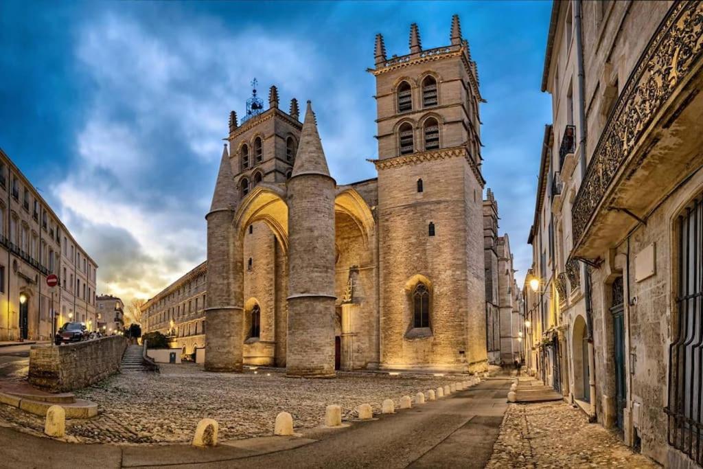 Studio Au Coeur Historique De Montpellier, 2 Personnes Et Wifi المظهر الخارجي الصورة